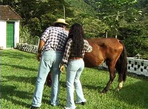 Watch As Panteras - A Fazenda - As Panteras, Filme, Porno Porn ...
