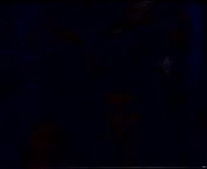 Wading Sixx Video Xxxxxvip
