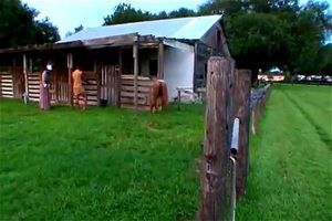 Roots Porn - roots & roots Videos - SpankBang