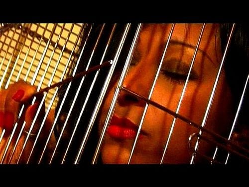  Danica Collins is a caged Pet 