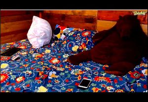 Watch Mia_and_Sammy Anal Party 01-03-2019 - Mia Collins, Mia And ...