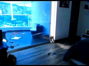 Watch Sexy Latina chick showing nice ass on webcam live - Ass ...