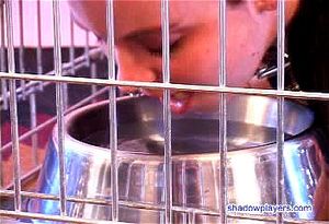 Watch puppyplayincage - Pet Play, Puppyplay, Puppy Play Porn ...