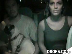 Watch pareja argentina follando en un taxi-Argentinian couple ...