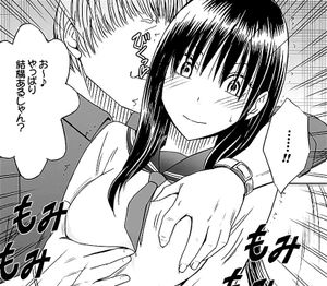Watch 姉のカレシにもてあそばれた私 - Crimson, Taimanin, Mo Porn ...