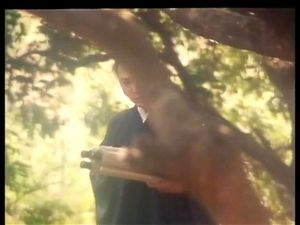 Watch Liêu trai chí dị 4 - Erotic Ghost Story Perfect Match (1997 ...