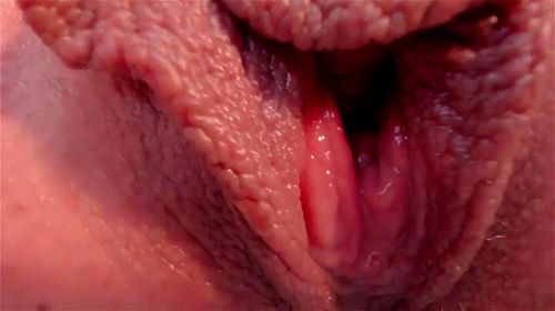 Up Close Pussy Lips