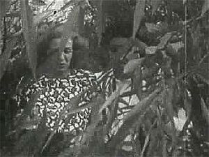 Watch Vintage porn sexfilm 1925 - Vintage Porn - SpankBang