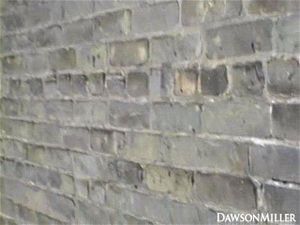 Watch Dawson on fire escape - Amateur, Big Tits, Dawson Miller ...