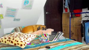 Watch C4_anoia_aiona_August-23-2021_02-57-15 - Camgirl, Colombian ...